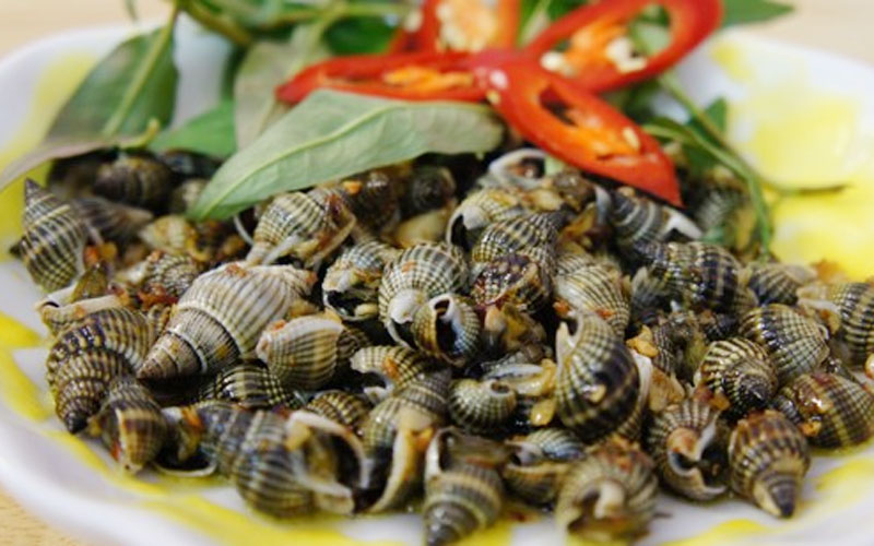 Ốc Cầu Vòng - Huỳnh Tấn Phát