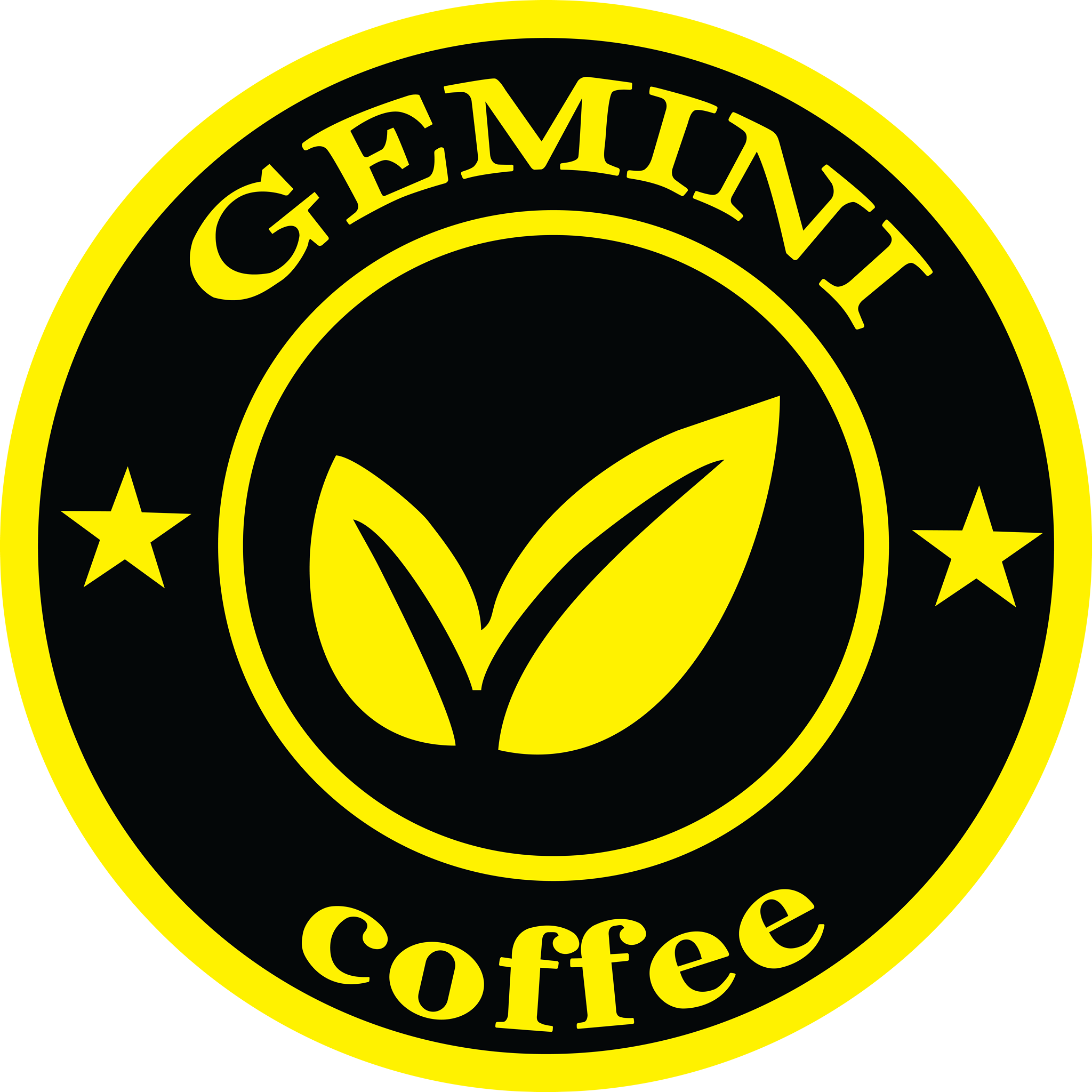 Gemini - Lê Trọng Tấn
