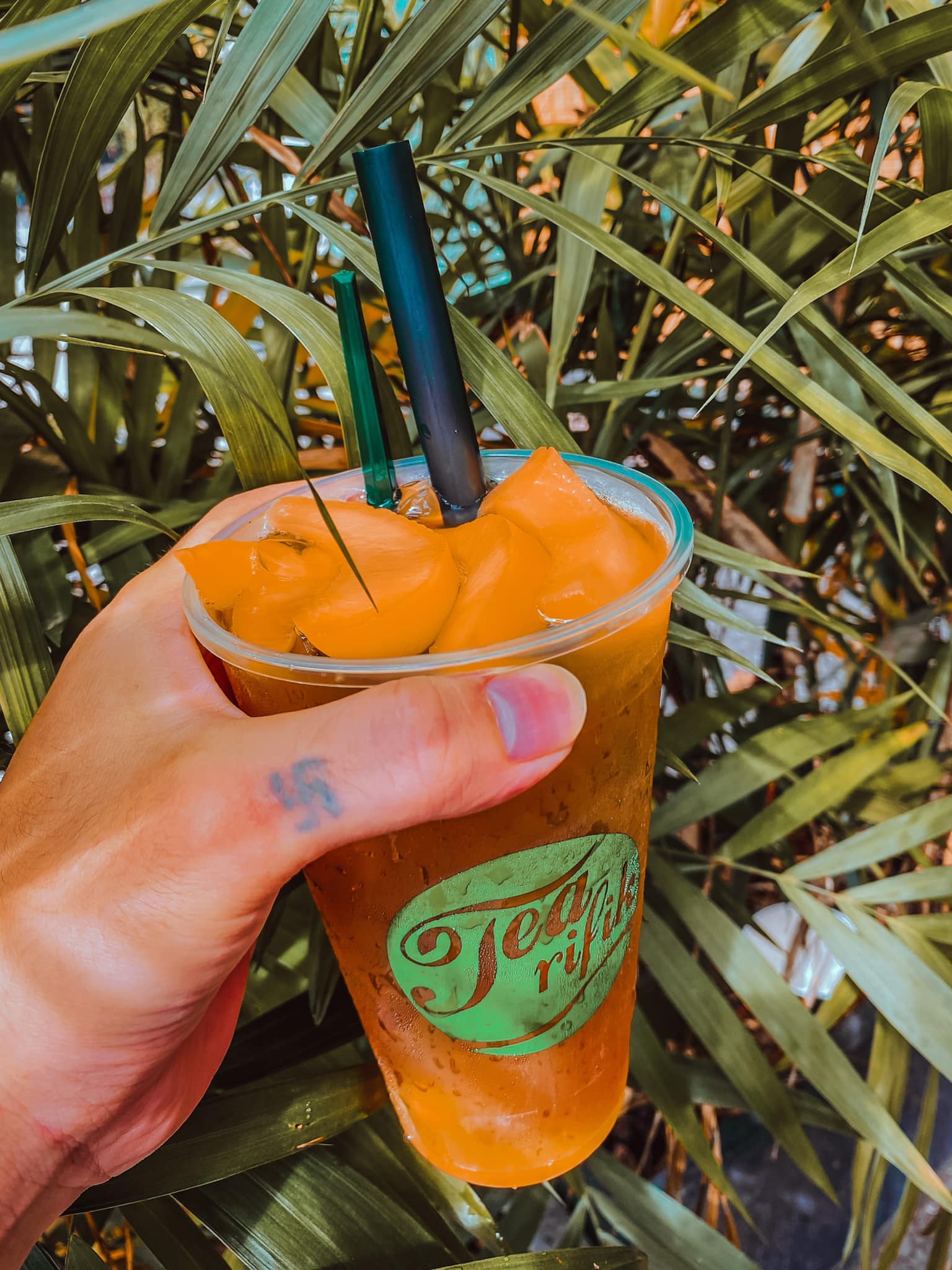 TEA RIFIK 2 - Nguyễn Gia Trí