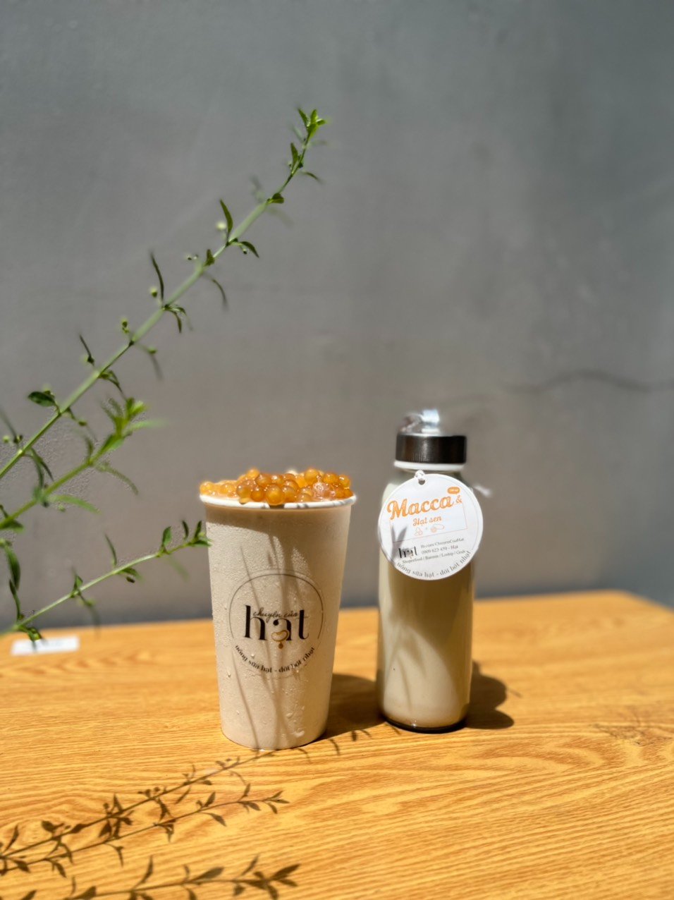 Chuyện Của Hạt - Chiến Lược