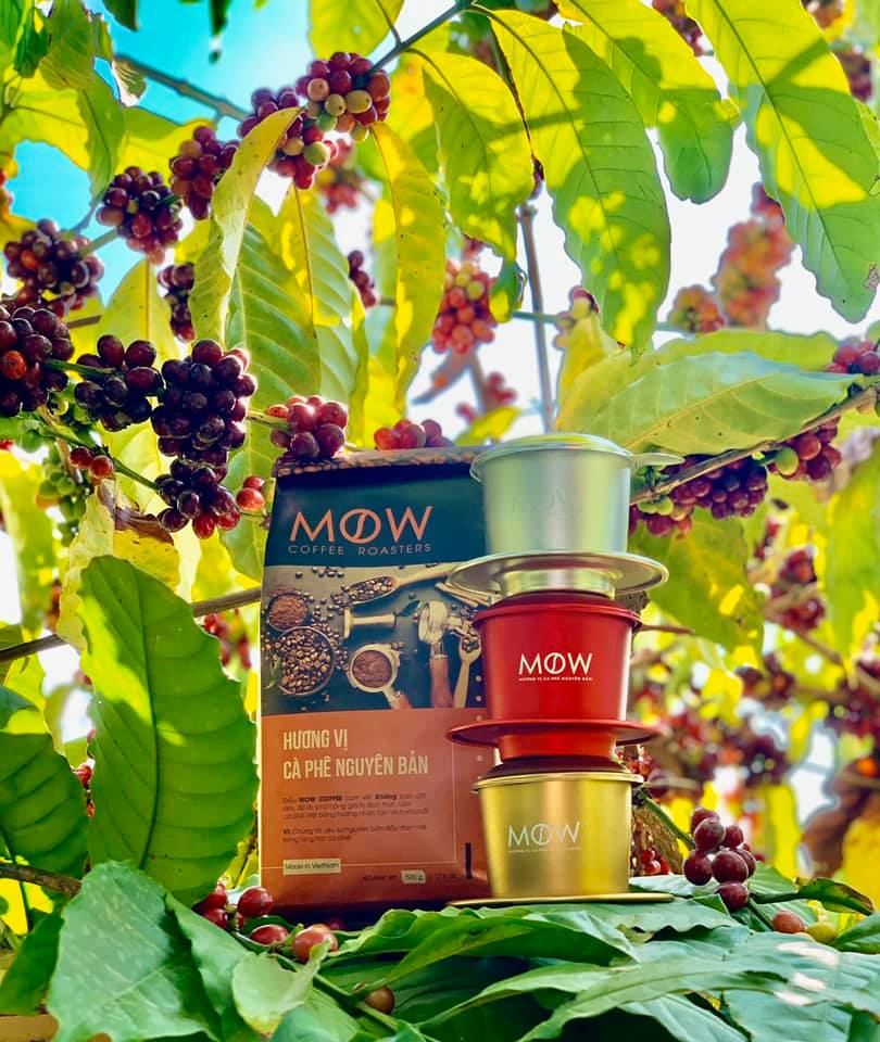 Mow Coffee - Ấp Bắc