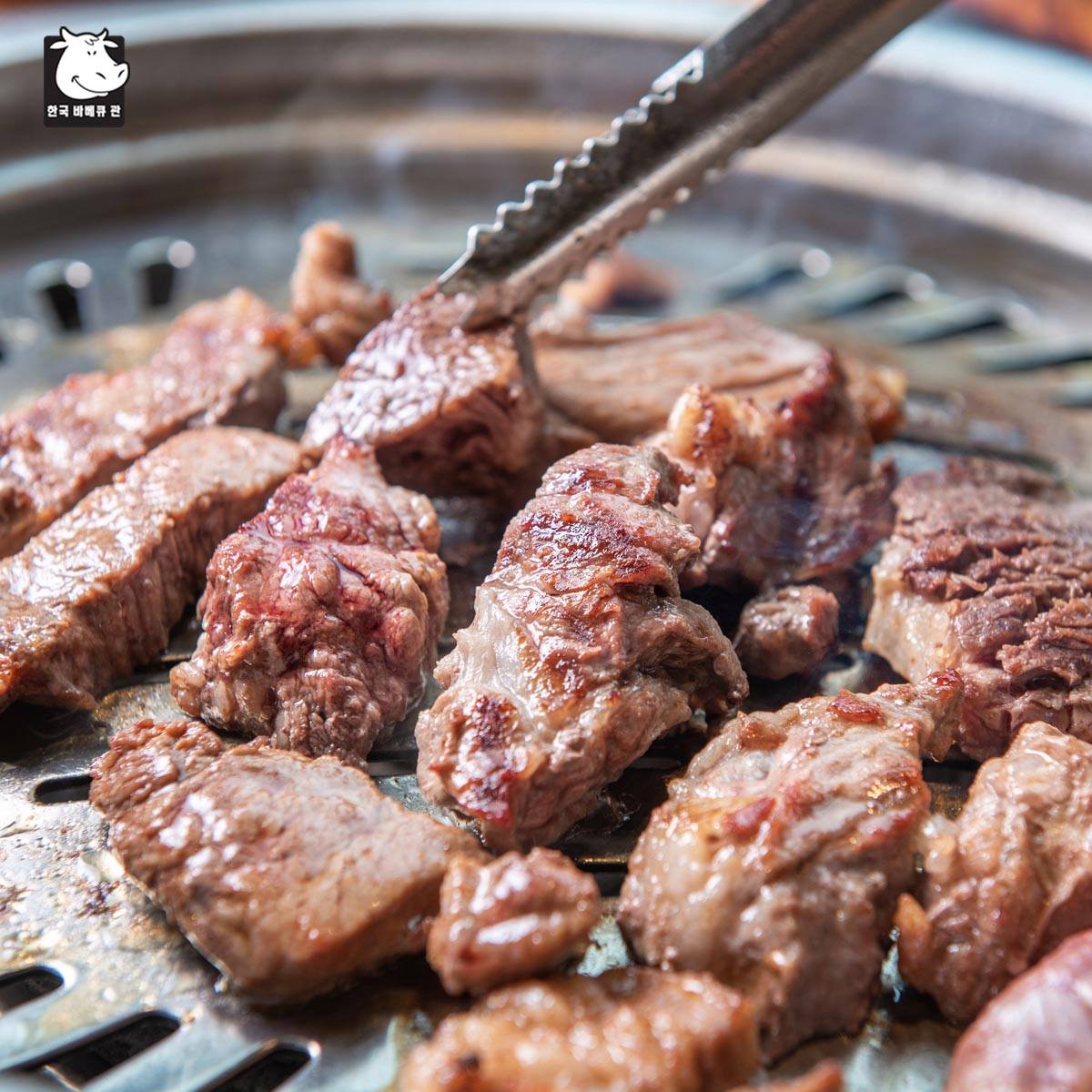 GoGi House - Nguyễn Hồng Đào