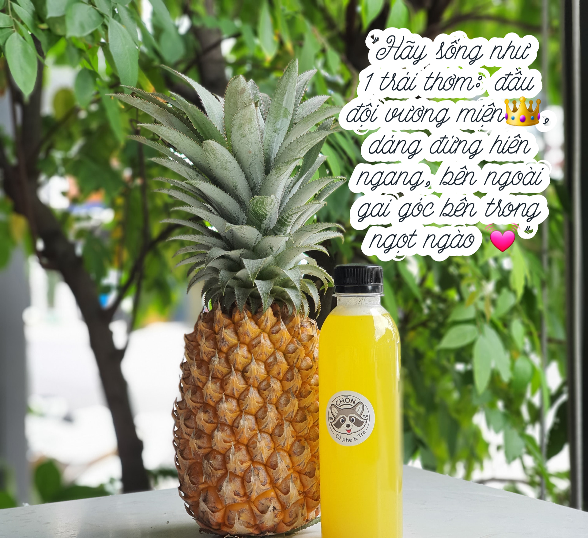 Chồn Cà Phê & Trà - Phạm Văn chiêu