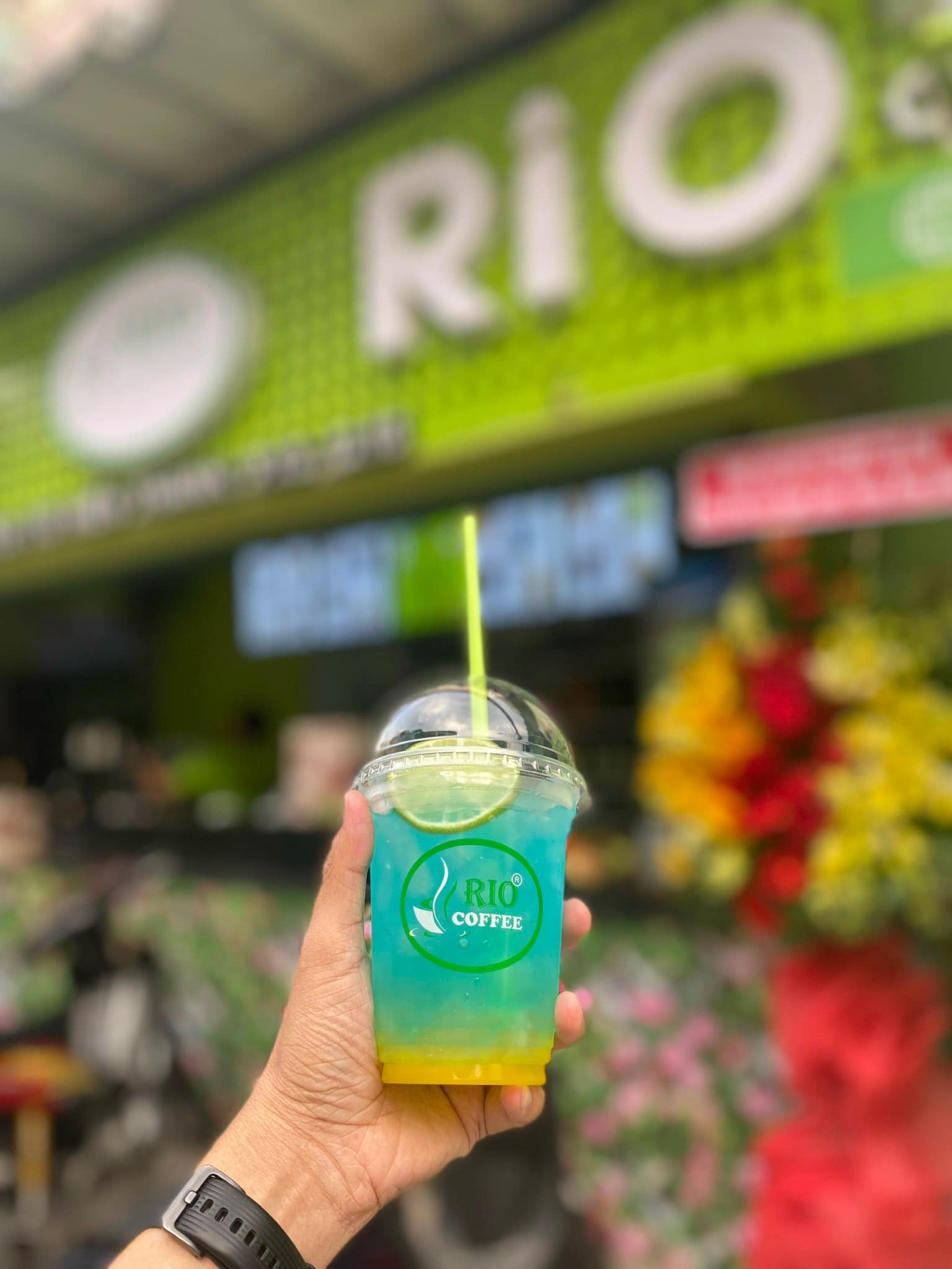 Kafe Rio - Tô Hiến Thành