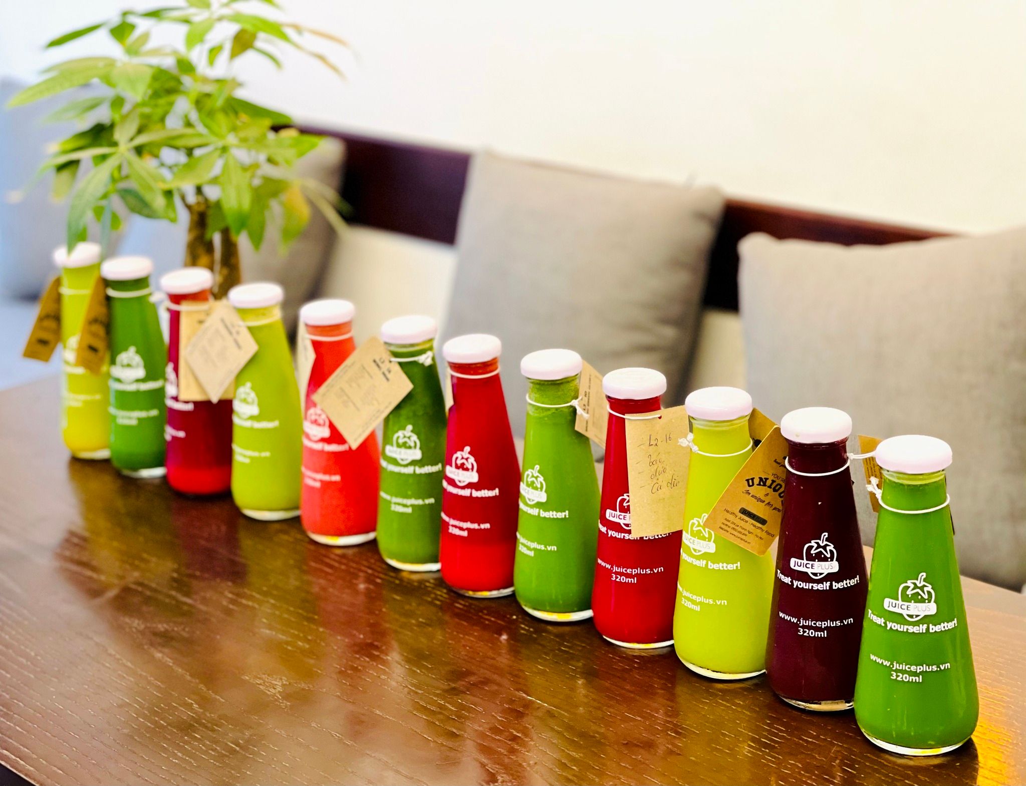 Juice Plus - Lê Thanh Nghị