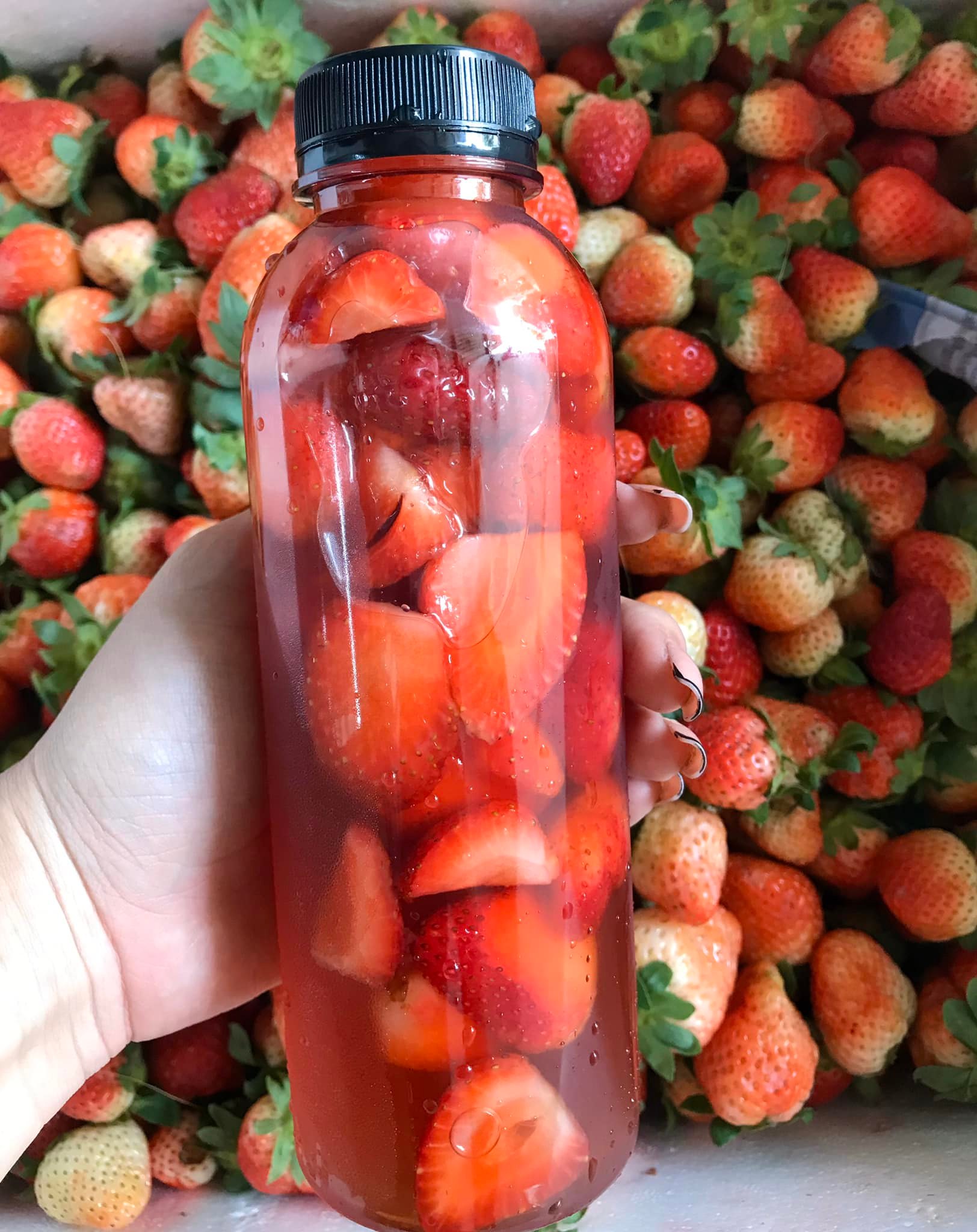 Trà Dâu Tươi - Vạn Kiếp