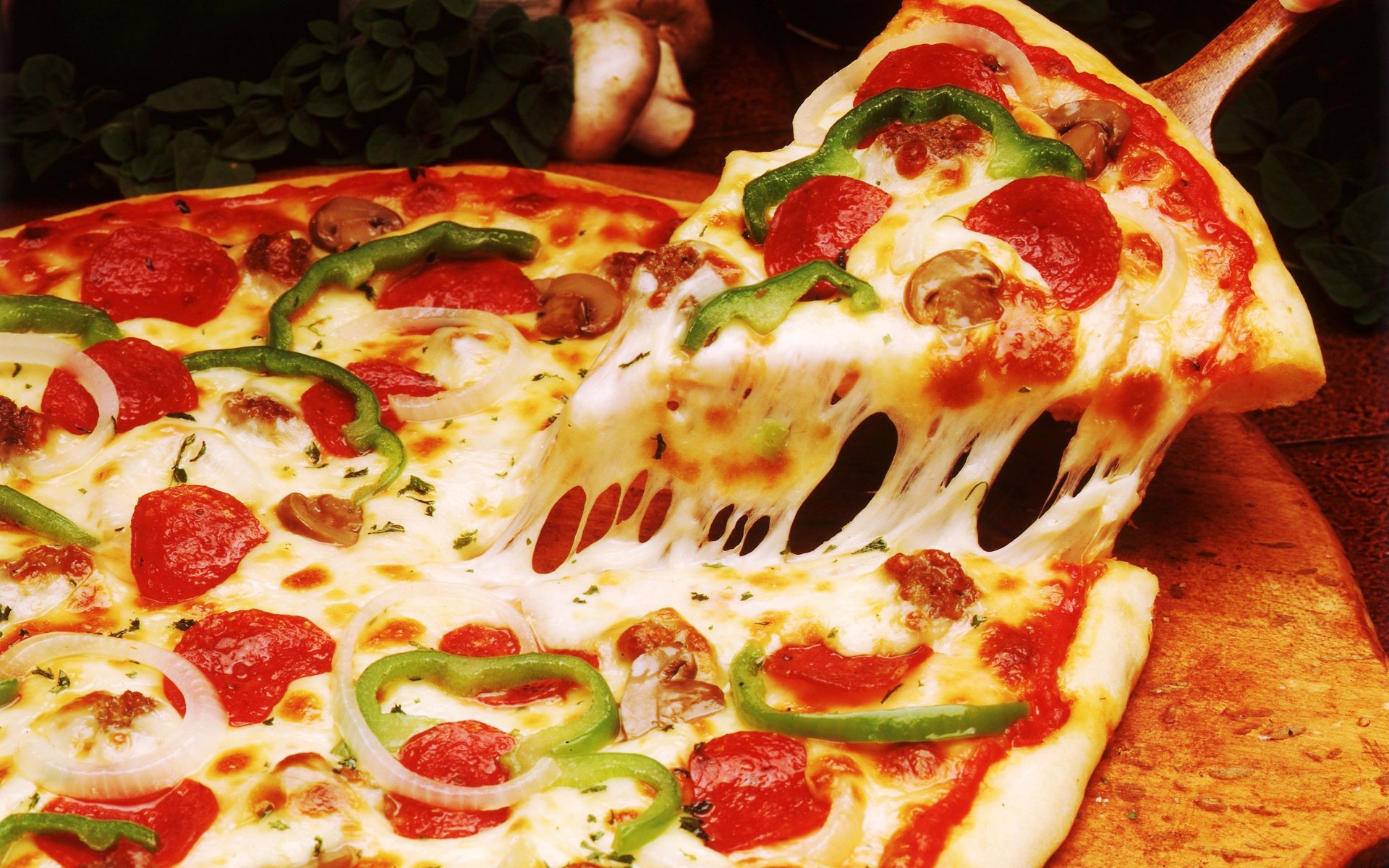 Bếp Bánh 92 - Pizza, Trà Sữa - Tôn Thất Thuyết