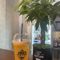 1992 Coffee & Tea - Đội Cấn