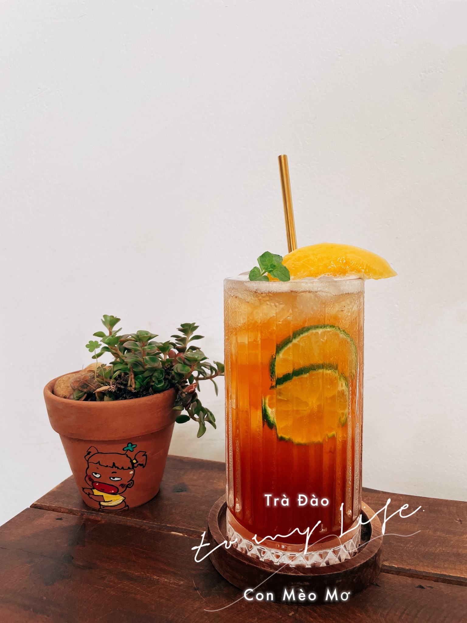 Con Mèo Mơ - Nguyễn Kiệm