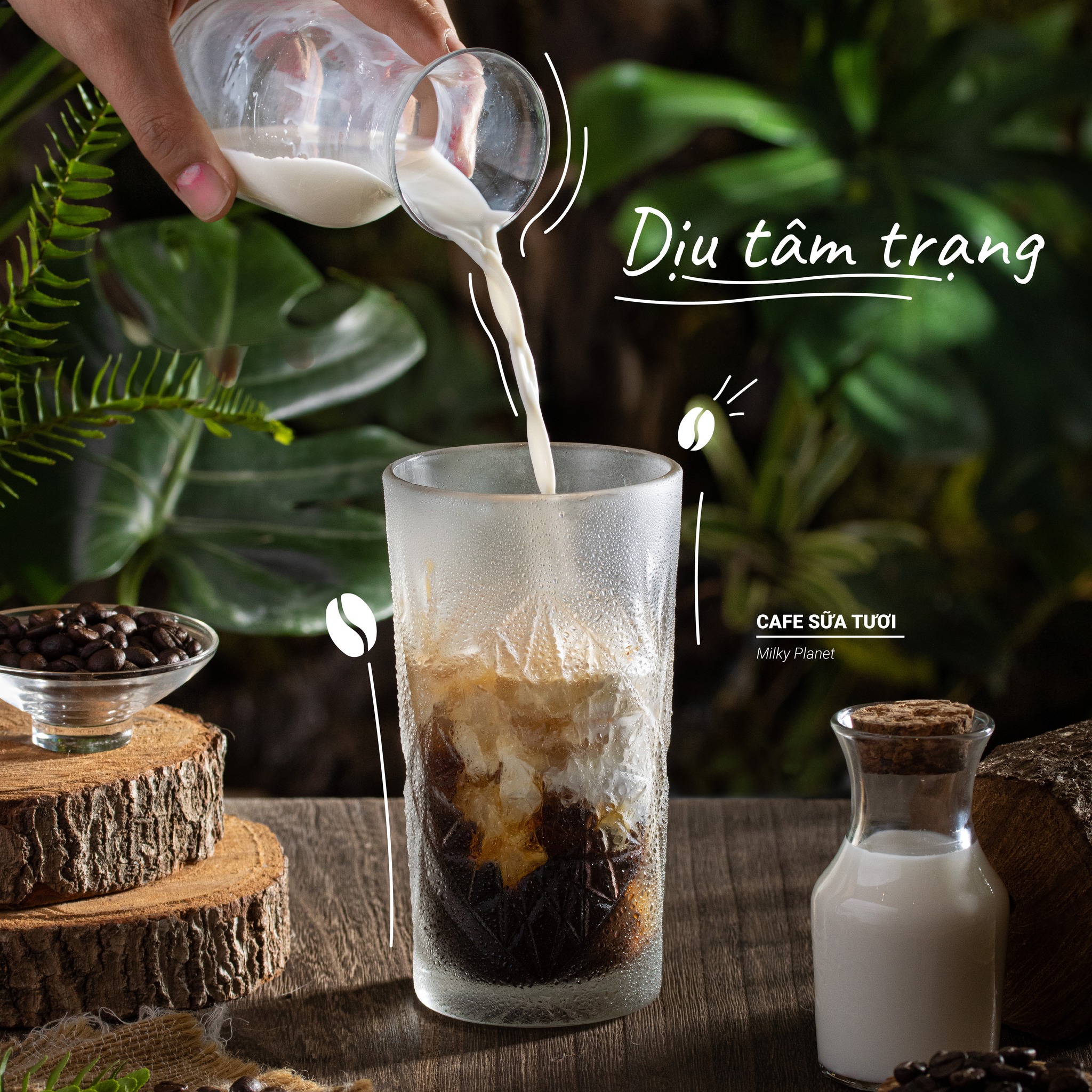 Amour Kafé - Nguyễn Thái Học