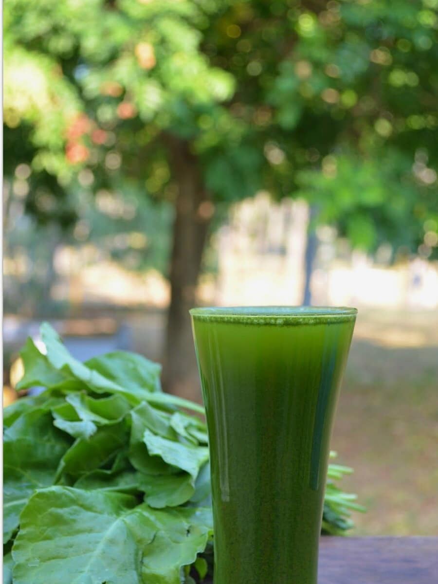 JUICY QUYÊN - Lê Văn Duyệt