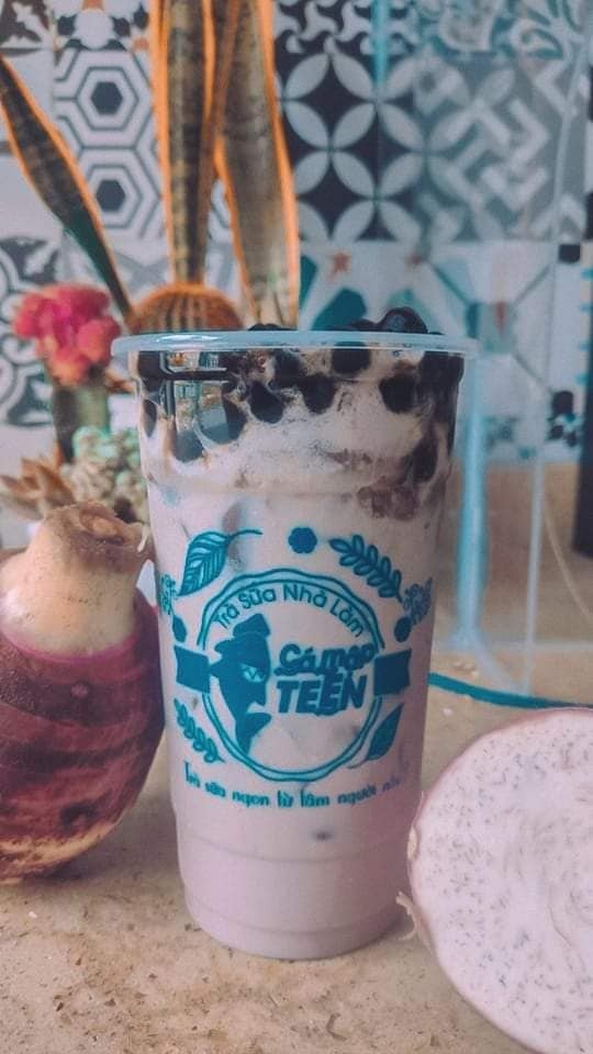 TRÀ SỮA CÁ MẬP TEEN