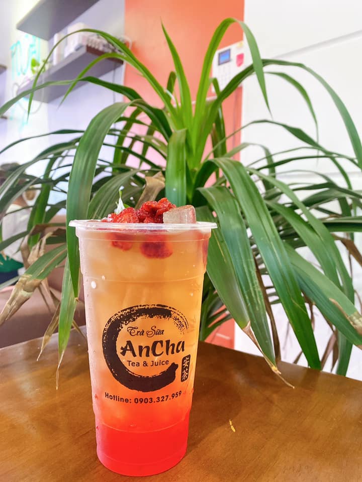 Trà Sữa Ancha - Trịnh Đình Thảo