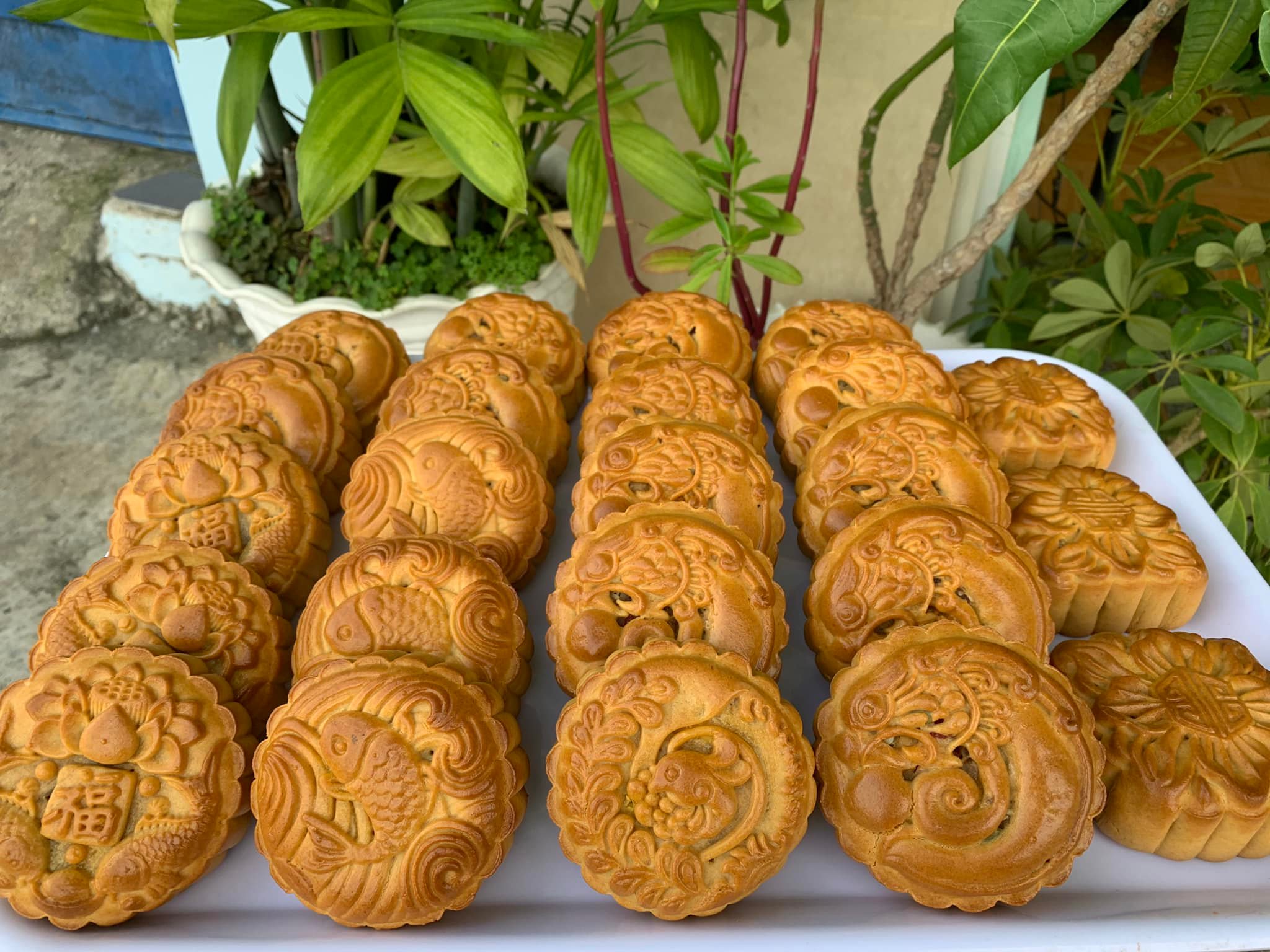 Tiệm Bánh Mint - Lưu Hữu Phước