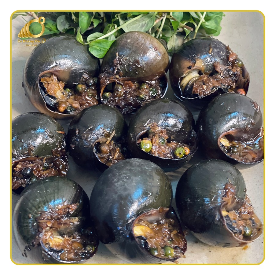 Quán Ốc Cô Lý - Lê Thanh Nghị