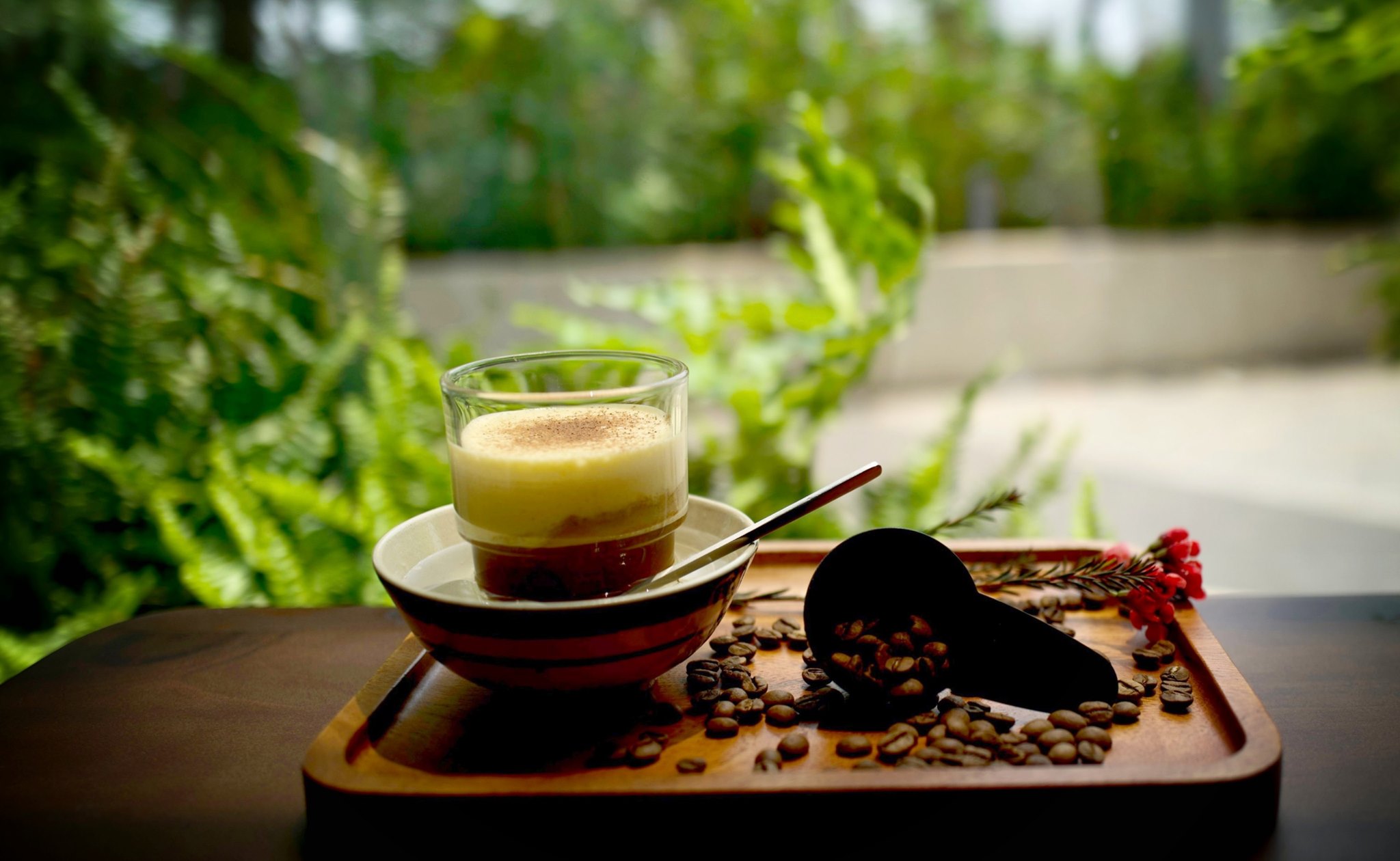 Vichi Cafe - Lê Quang Kim