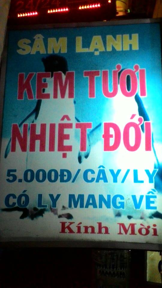 Kem Tươi Nhiệt ĐớI - Trần Đình Xu
