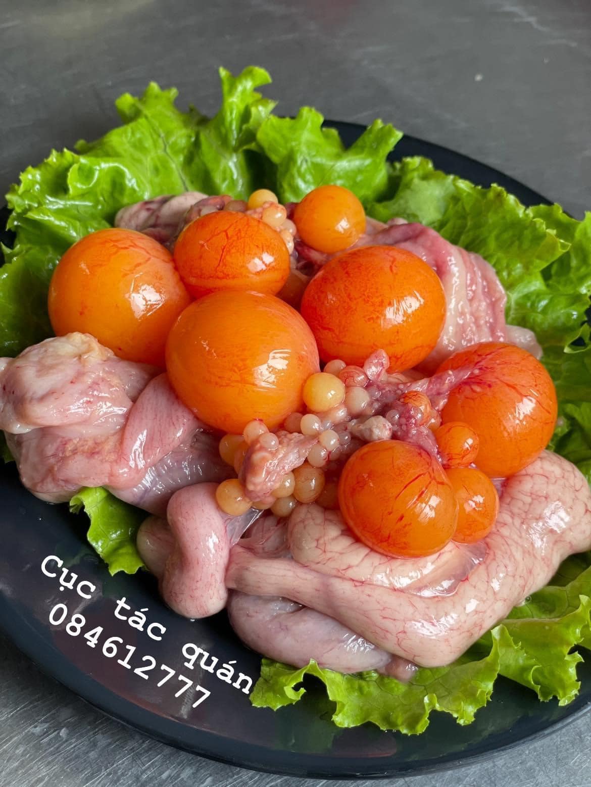 Lẩu Gà Lá É - Cục Tác Quán - Hồng Tiến