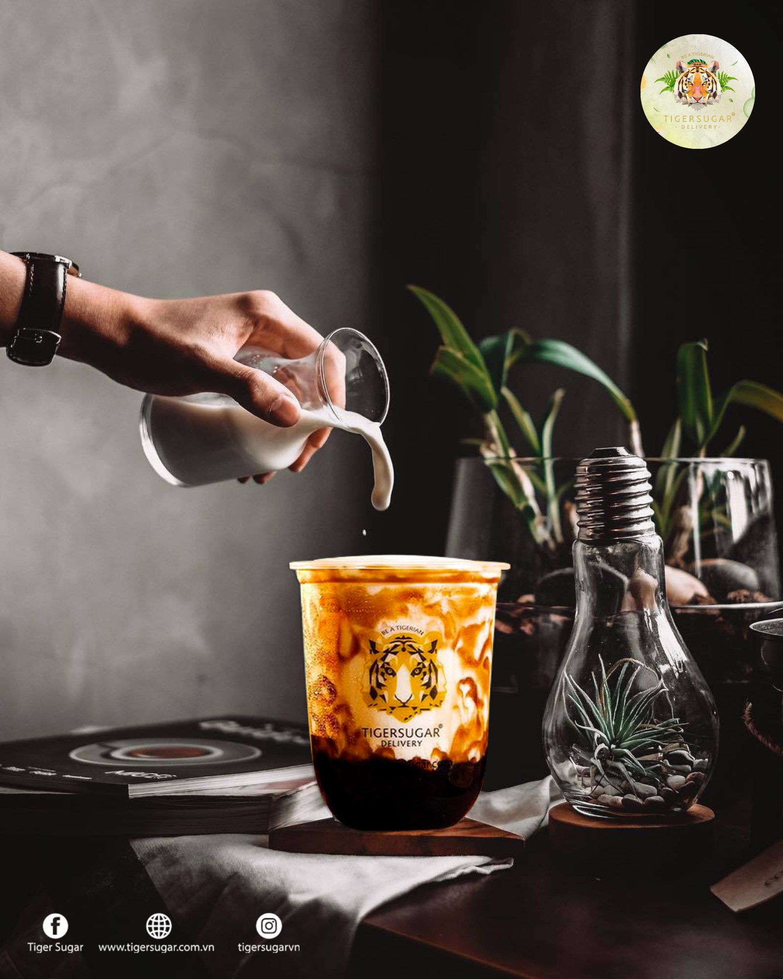 Tiger Sugar - Mai Chí Thọ