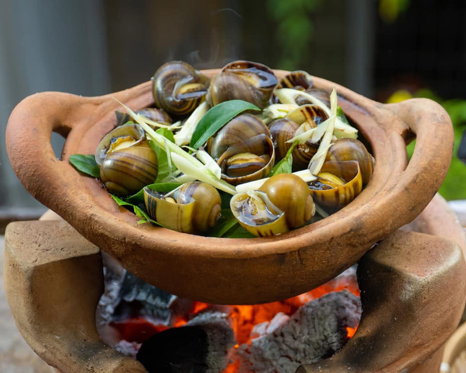 Ốc 1991 - Vĩnh Tuy