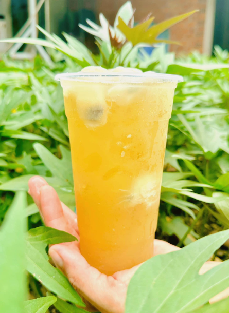 Trà Sữa Tạ Tuyết Ngân - Nguyễn Tri Phương