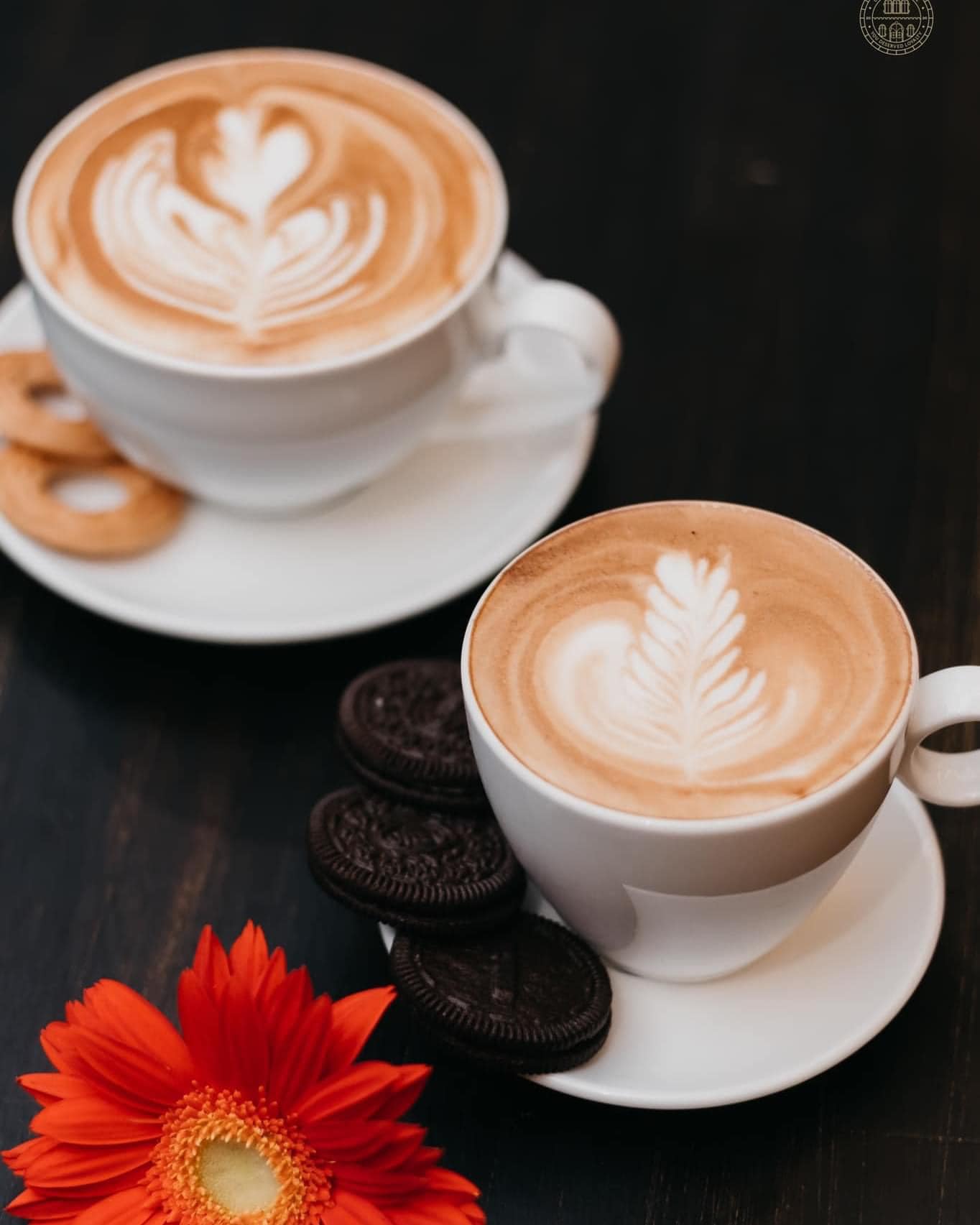 ST Sweet Coffee & Tea - Ký Con