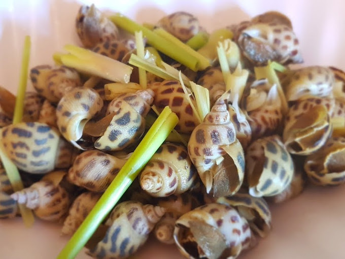 Quán Ốc Anh - Ngon Quên Lối Về - Bàu Cát 5