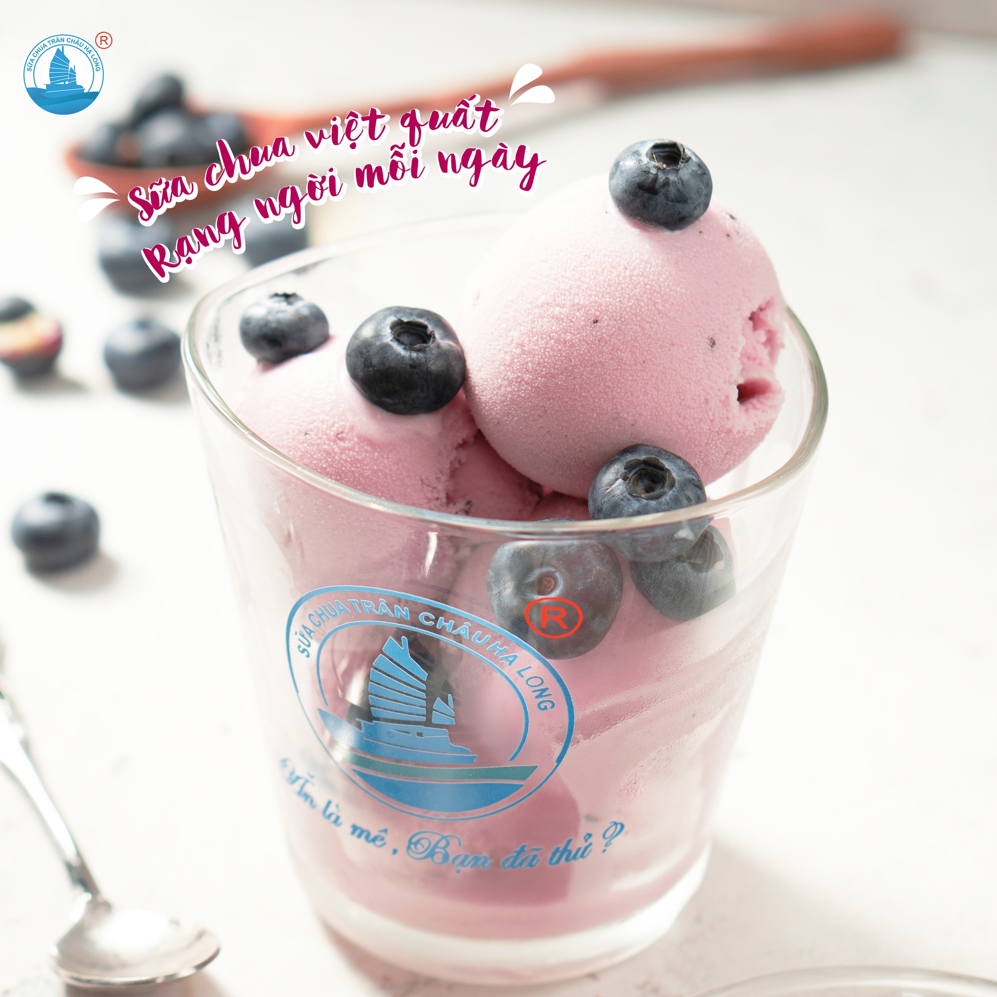 Sữa Chua Trân Châu Hạ Long - Lê Quang Định