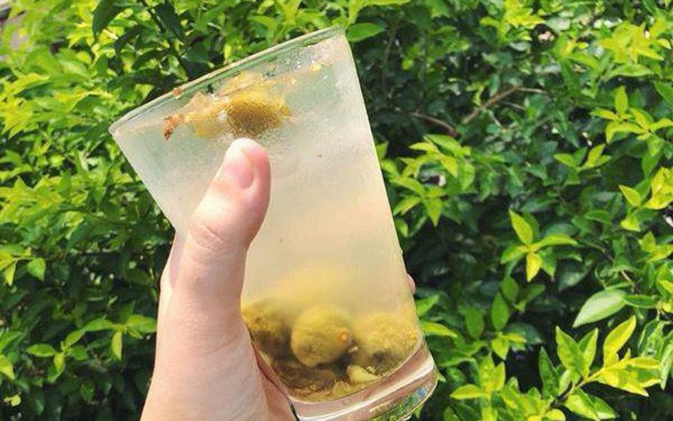 Nước Sấu Thảo Mít - Nguyễn Thái Bình