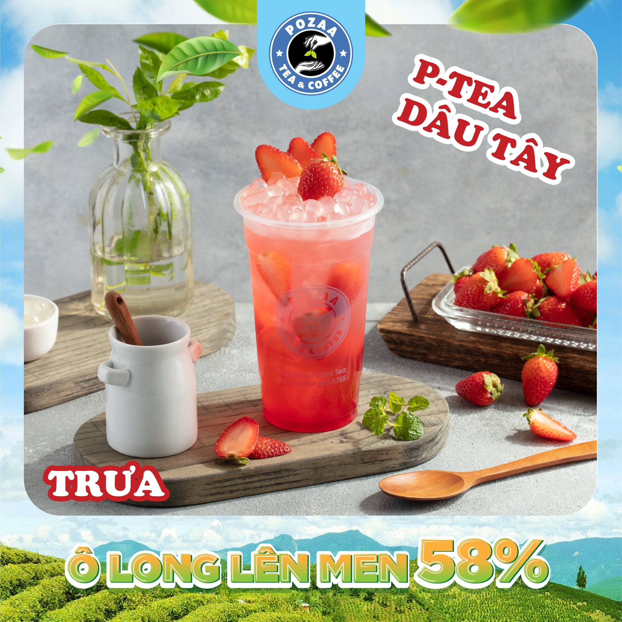 Story oa 8