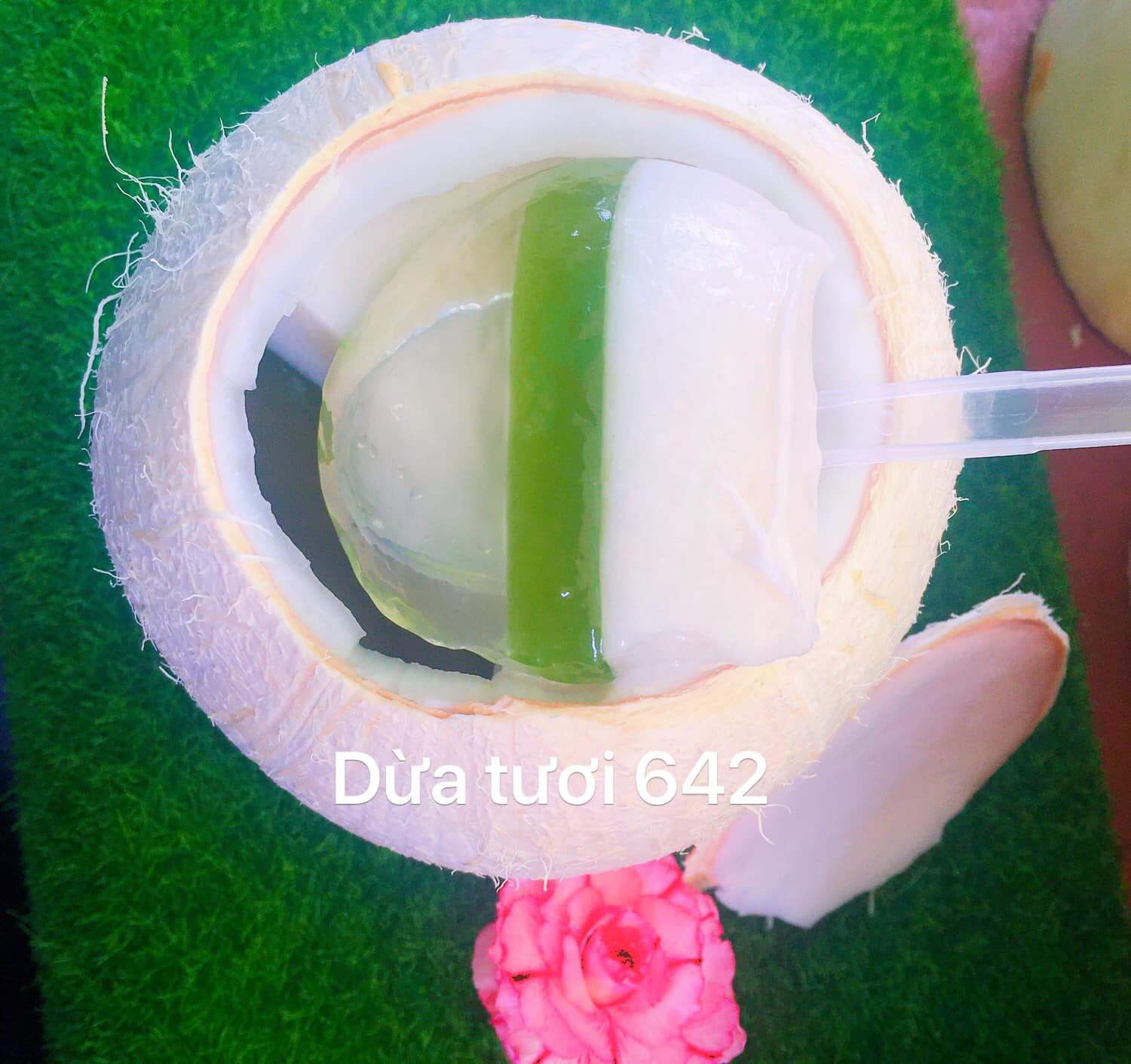 Dừa Tươi Và Rau Câu Trái Dừa 642 - Tỉnh Lộ 10