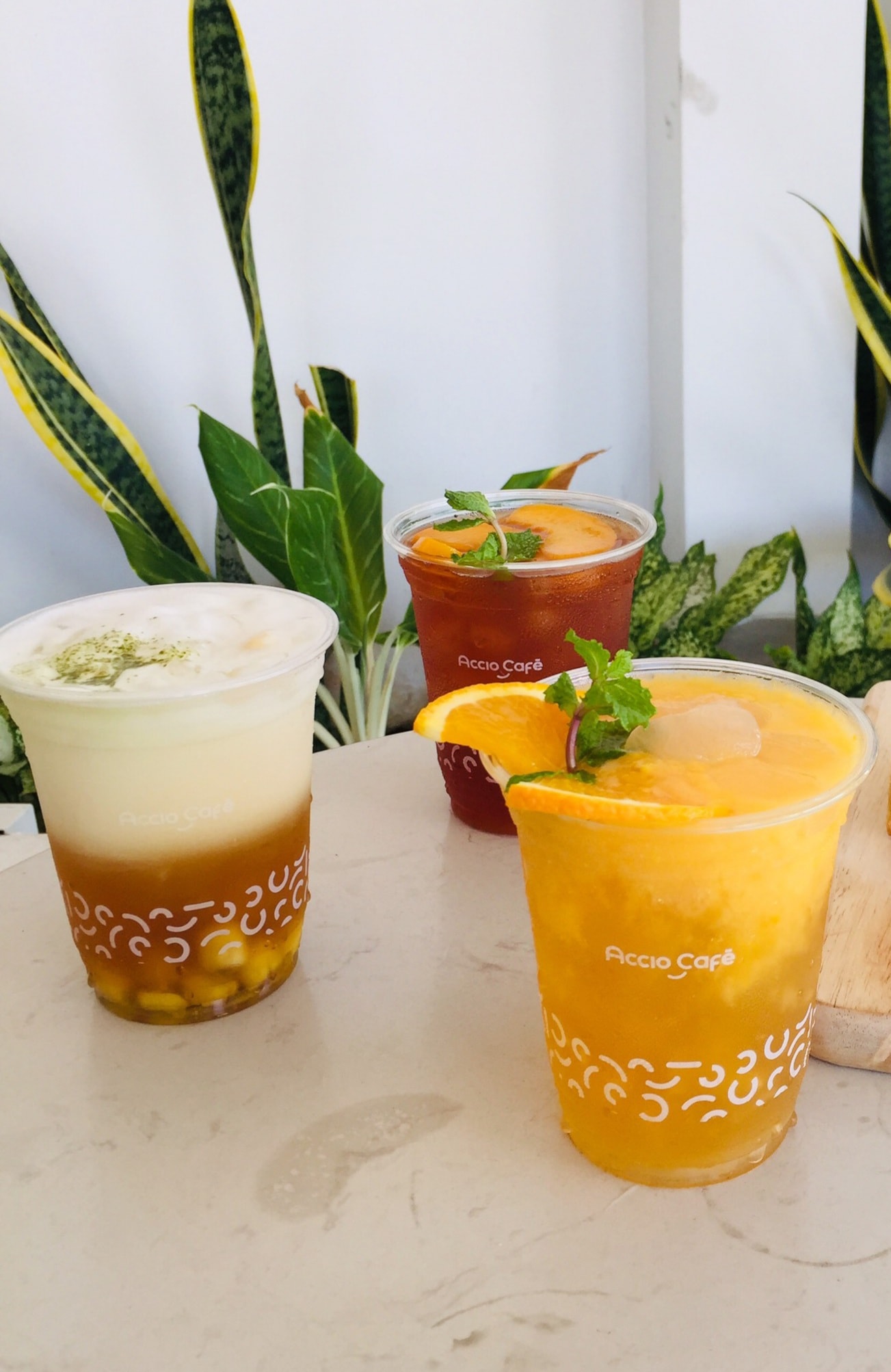 Accio Café - Vincom Plaza Mỹ Tho