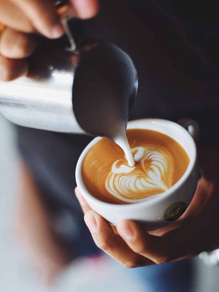 Gemini Coffee - Lê Trọng Tấn