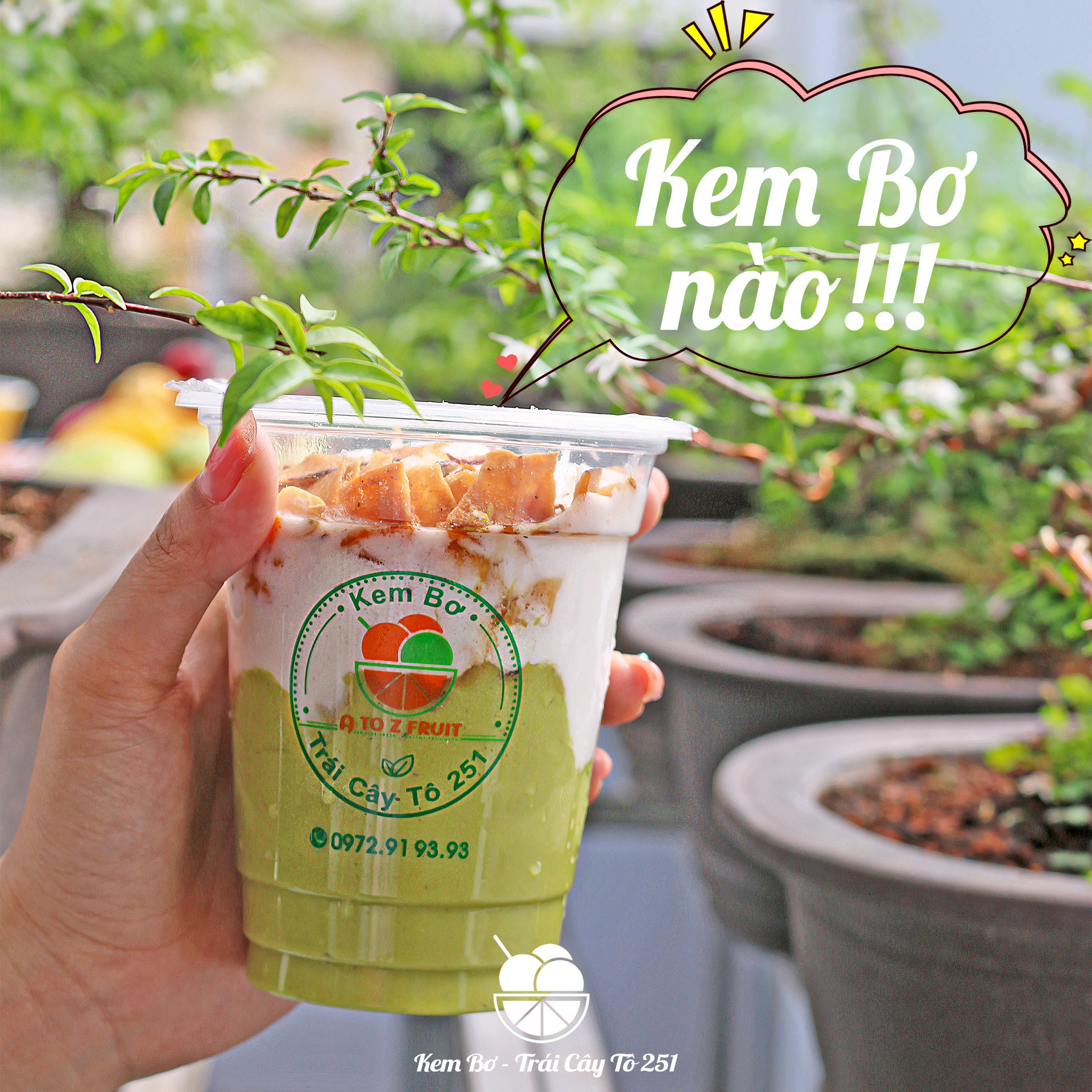 Kem Bơ - Trái Cây Tô 251 - Cao Đạt