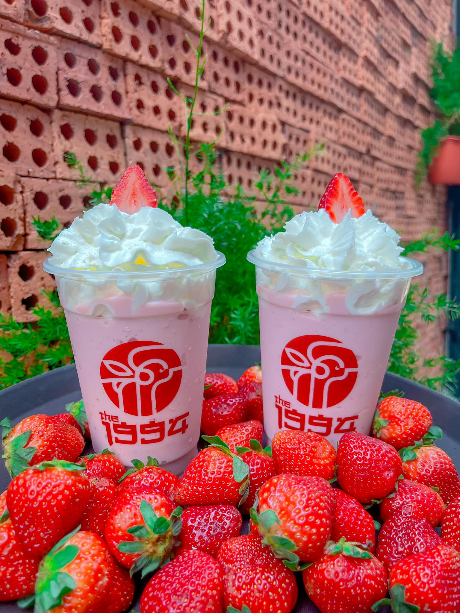 THE 1994 - Quang Trung