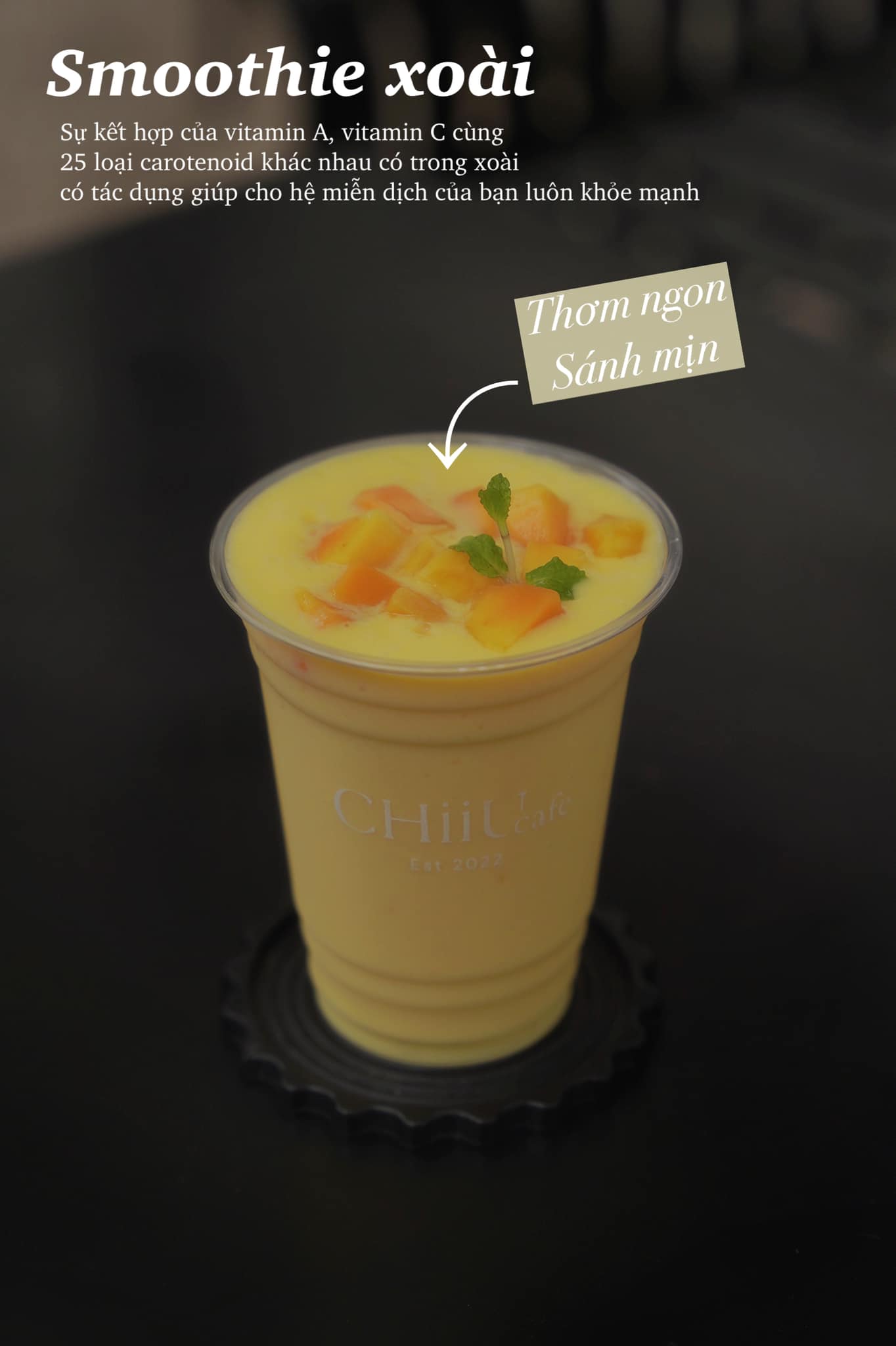 Chiiu Cafe Concept - Lê Hữu Trác