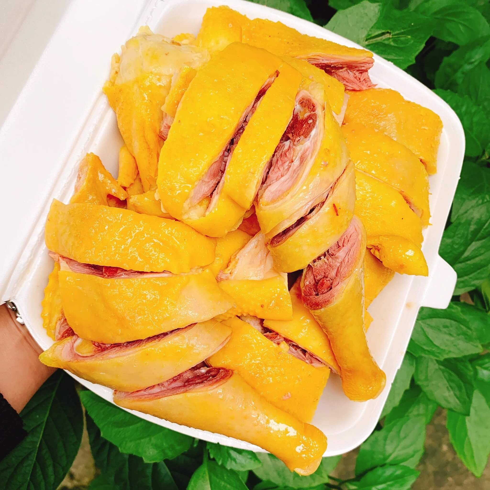 Ngọc Anh Gà Rán - Thanh Nhàn