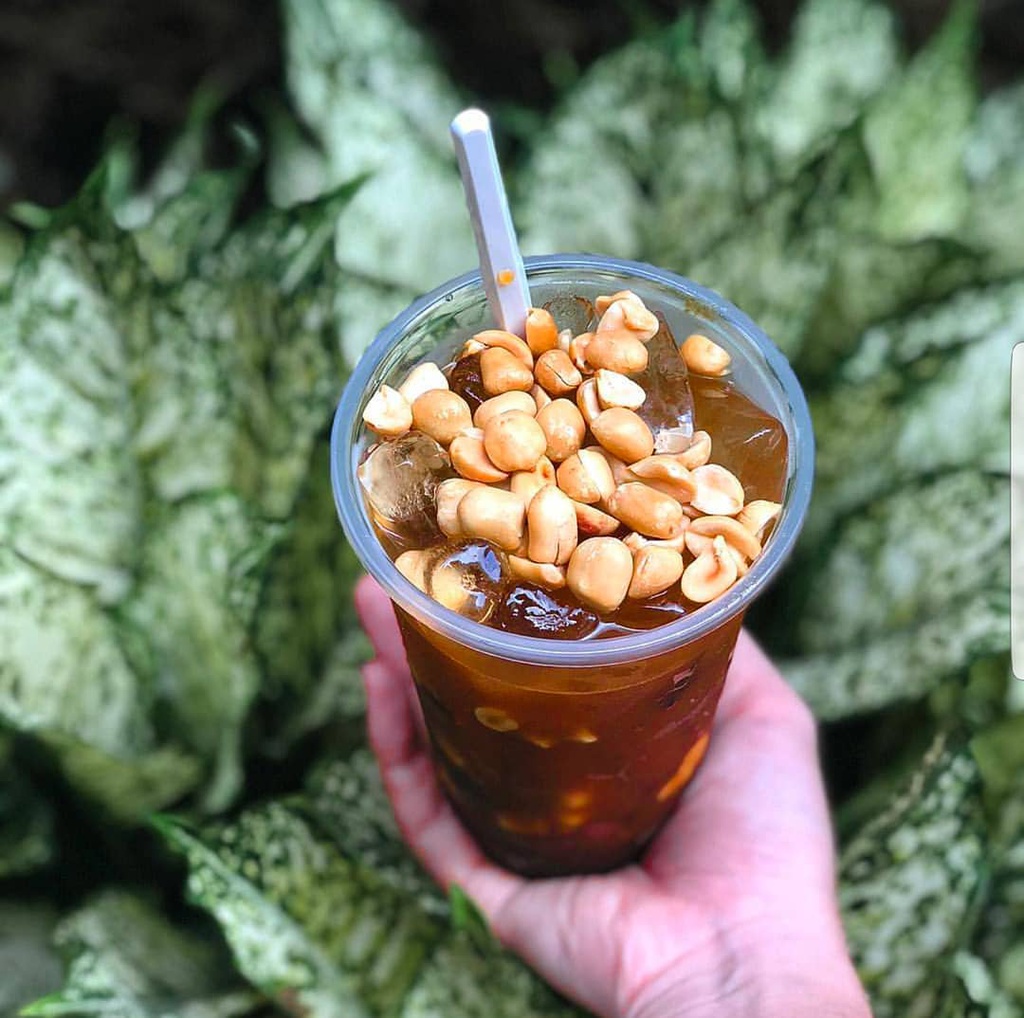 Thốt Nốt Bé Trang - Lê Văn Sỹ