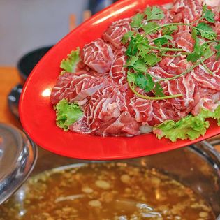 Bò Tơ Nhân Phát - Song Hành