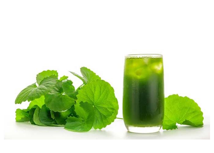 Lâm Ký - Cơm Gà Xối Mỡ - Võ Văn Vân