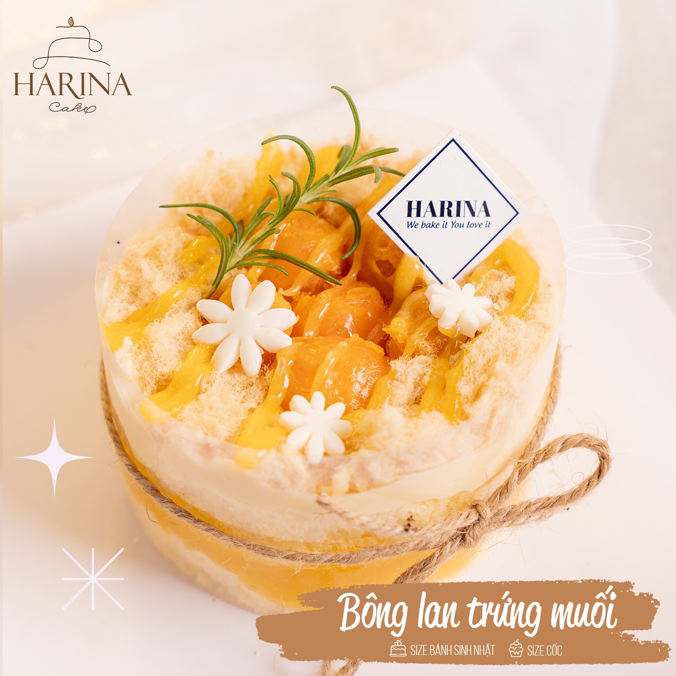 Harina Cake - Trần Phú