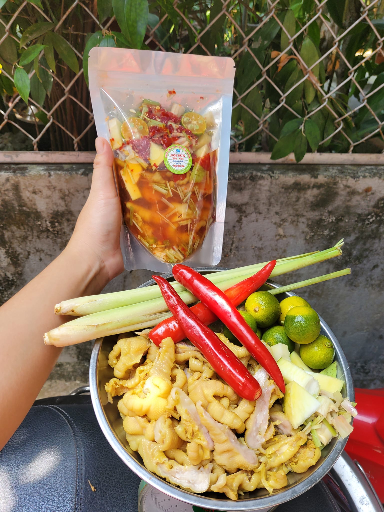Gỏi Sứa Ku Ken - Lê Đình Lý