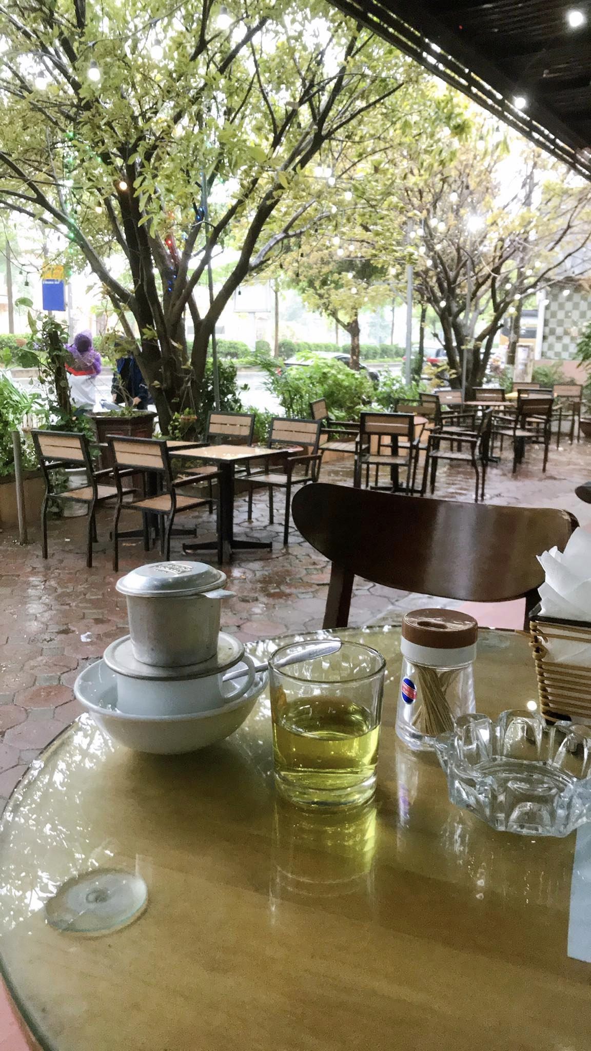 Green Coffee - Trần Vỹ