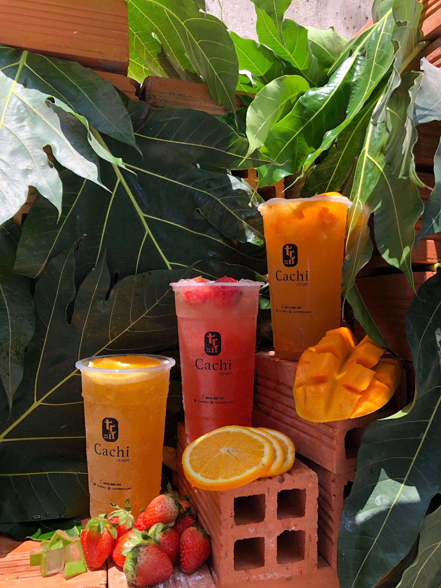 Cachi Tea - Trà Sữa - Man Thiện
