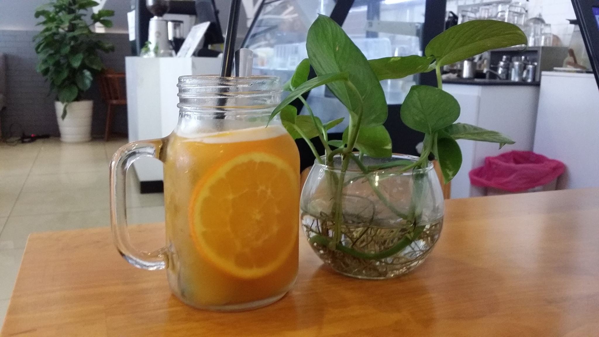 Starling Coffee - Phạm Hữu Lầu