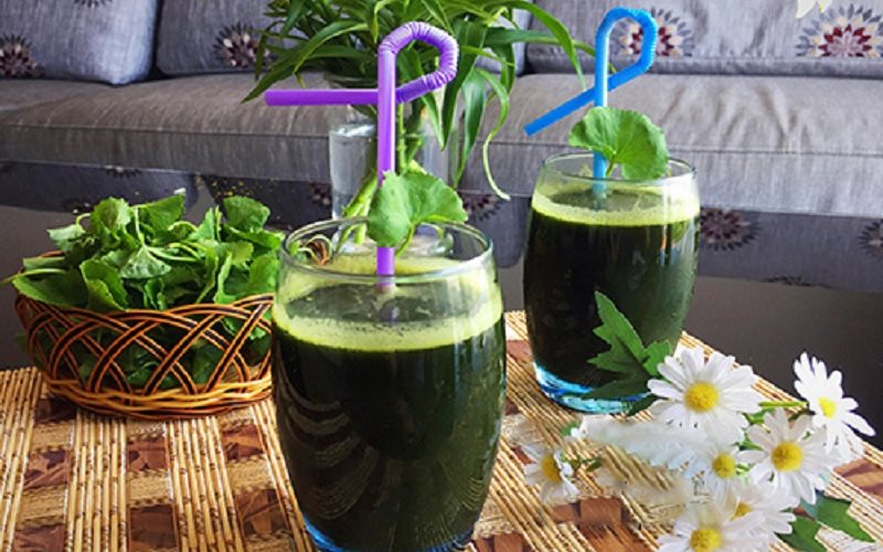 Tiệm Nhà Sữa - Sữa Đậu & Rau Má - Phan Đình Phùng