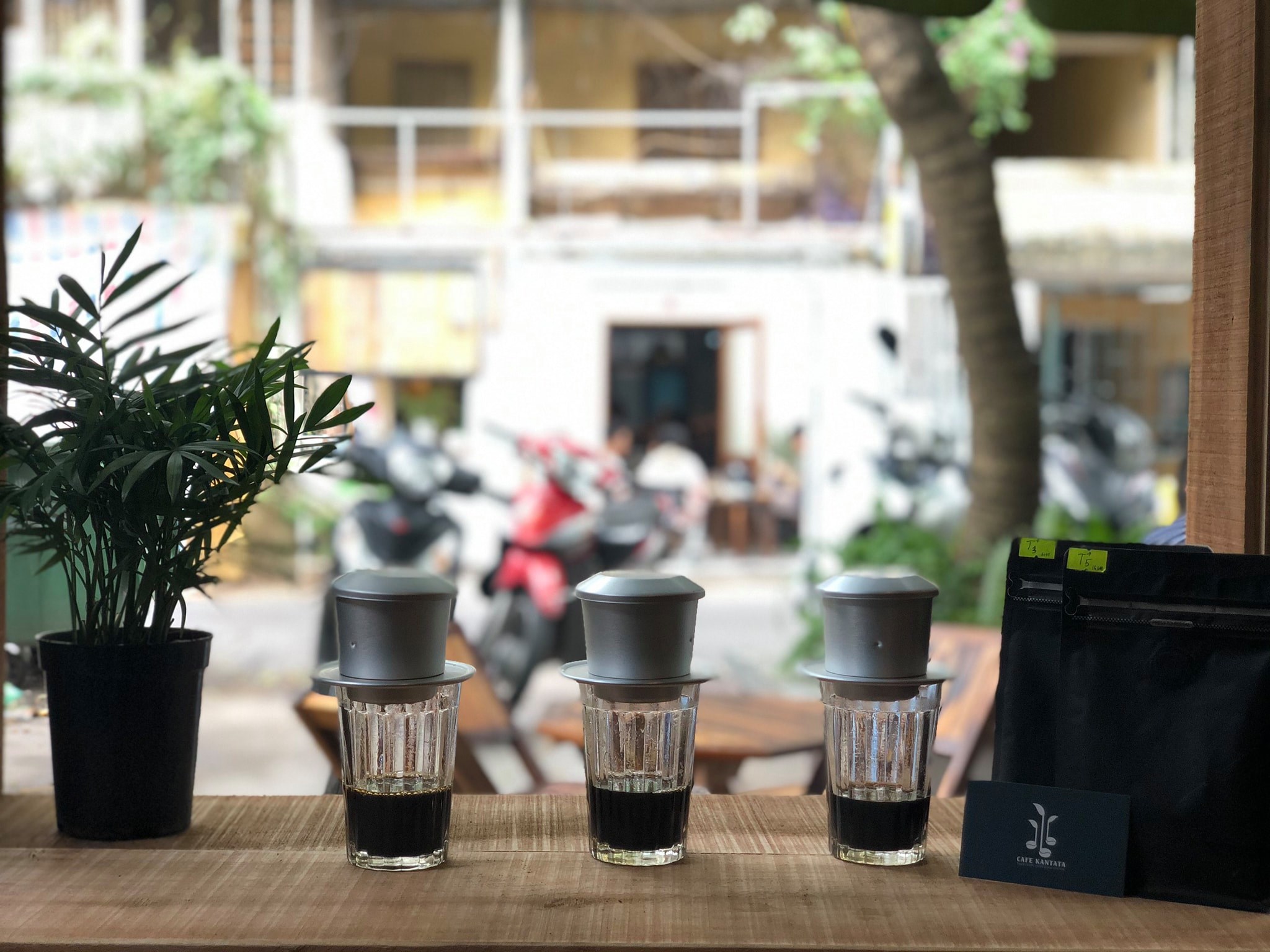 Đông Hồ Coffee - Tạ Quang Bửu