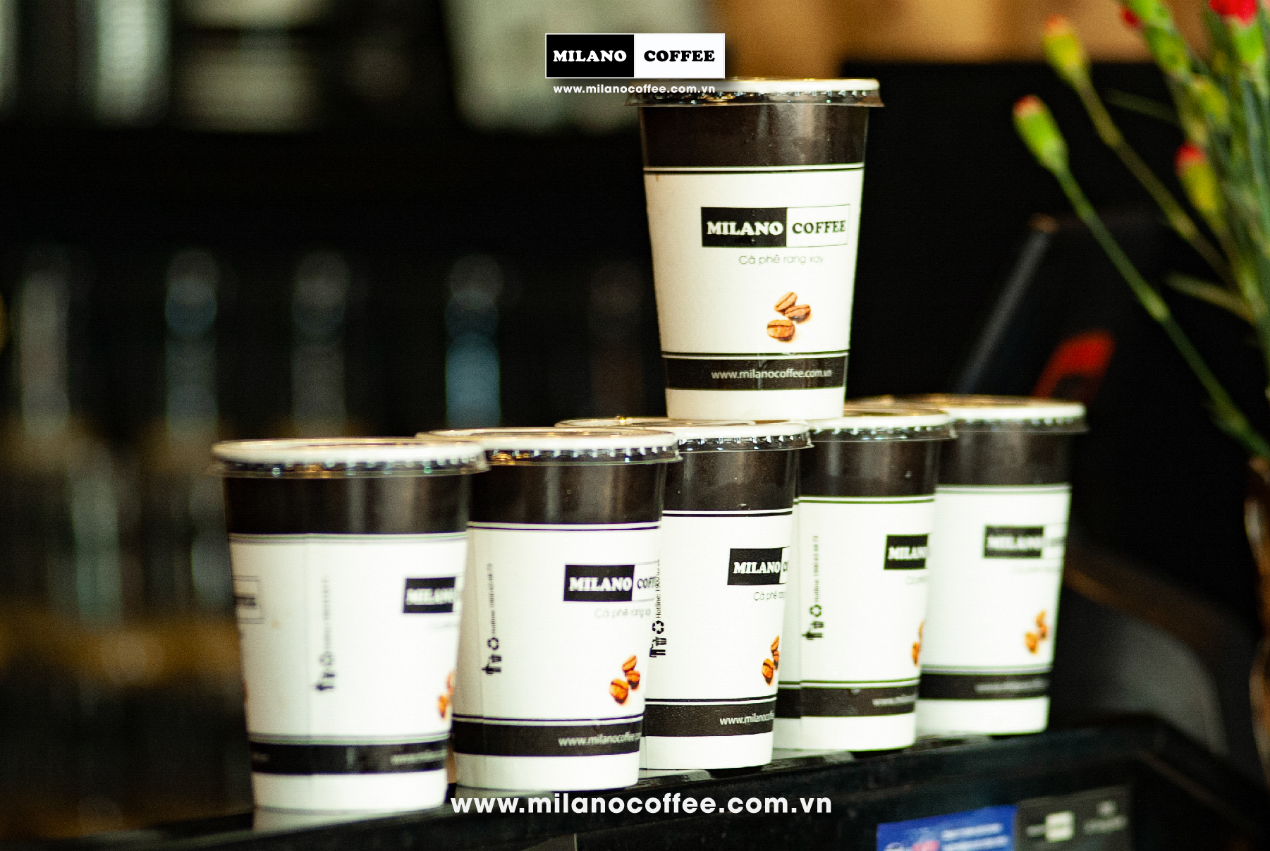 Milano Coffee - Nguyễn Khoái