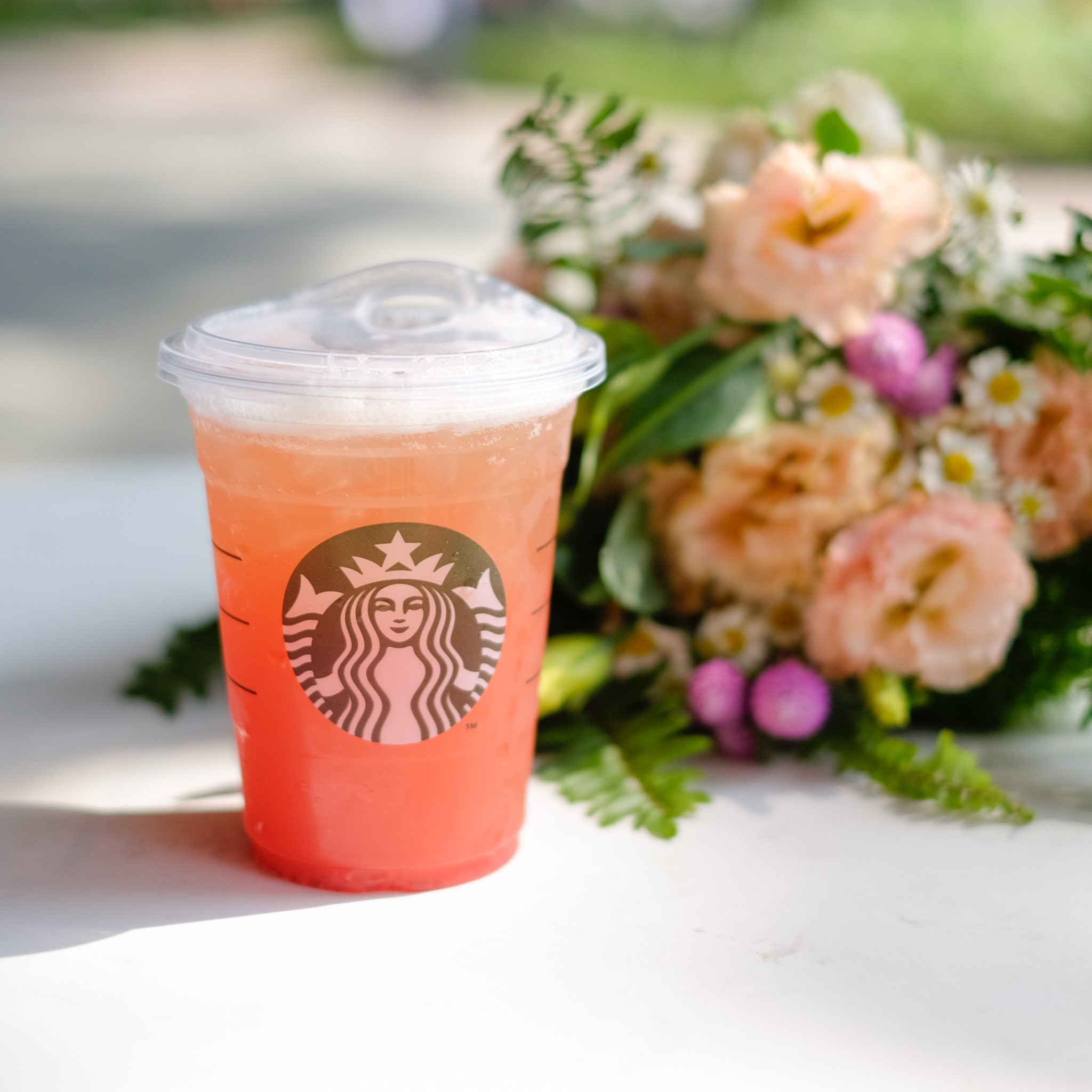 Starbucks - The Garden
