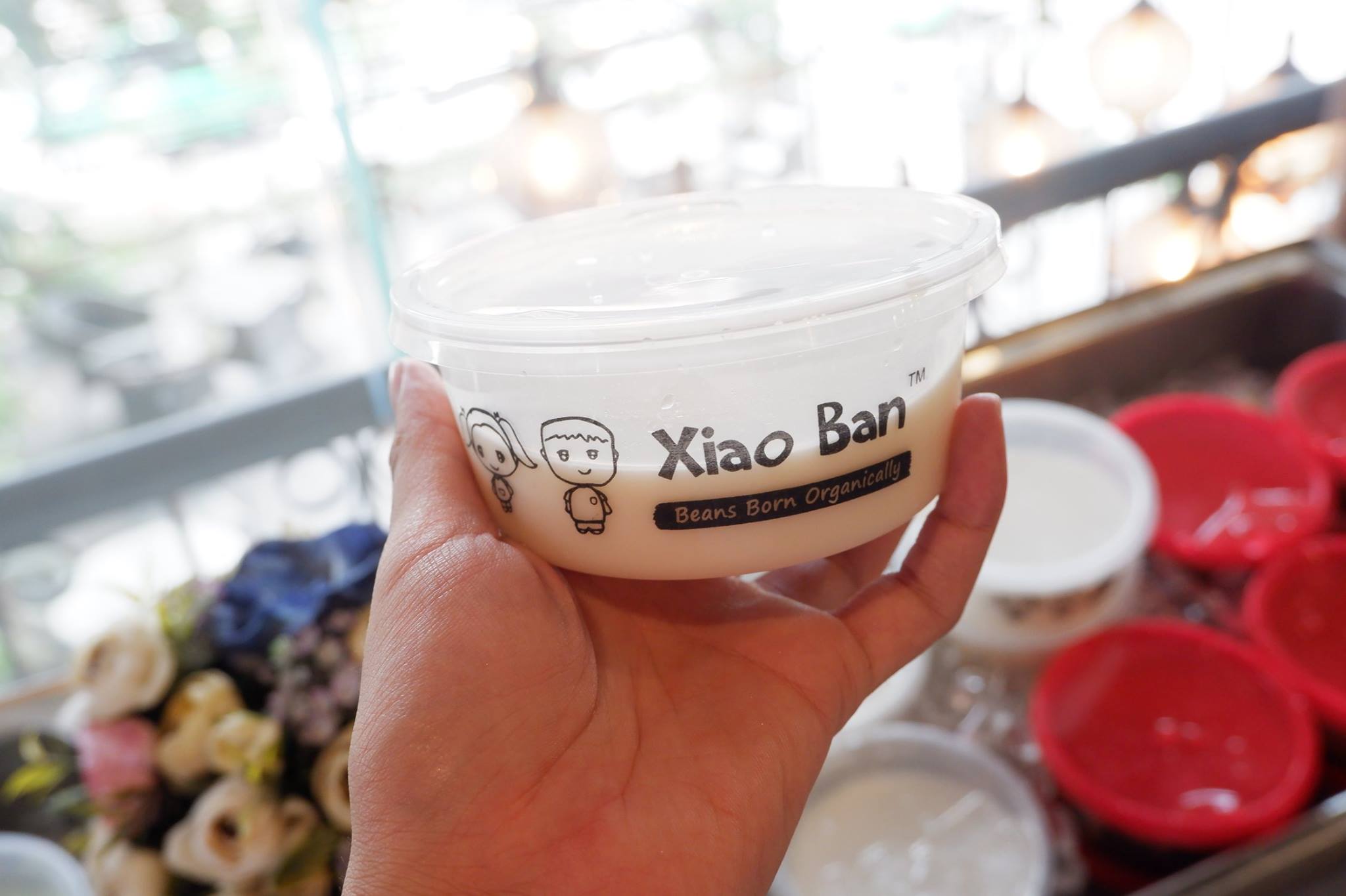 XiaoBan Soya Singapore - Đinh Tiên Hoàng
